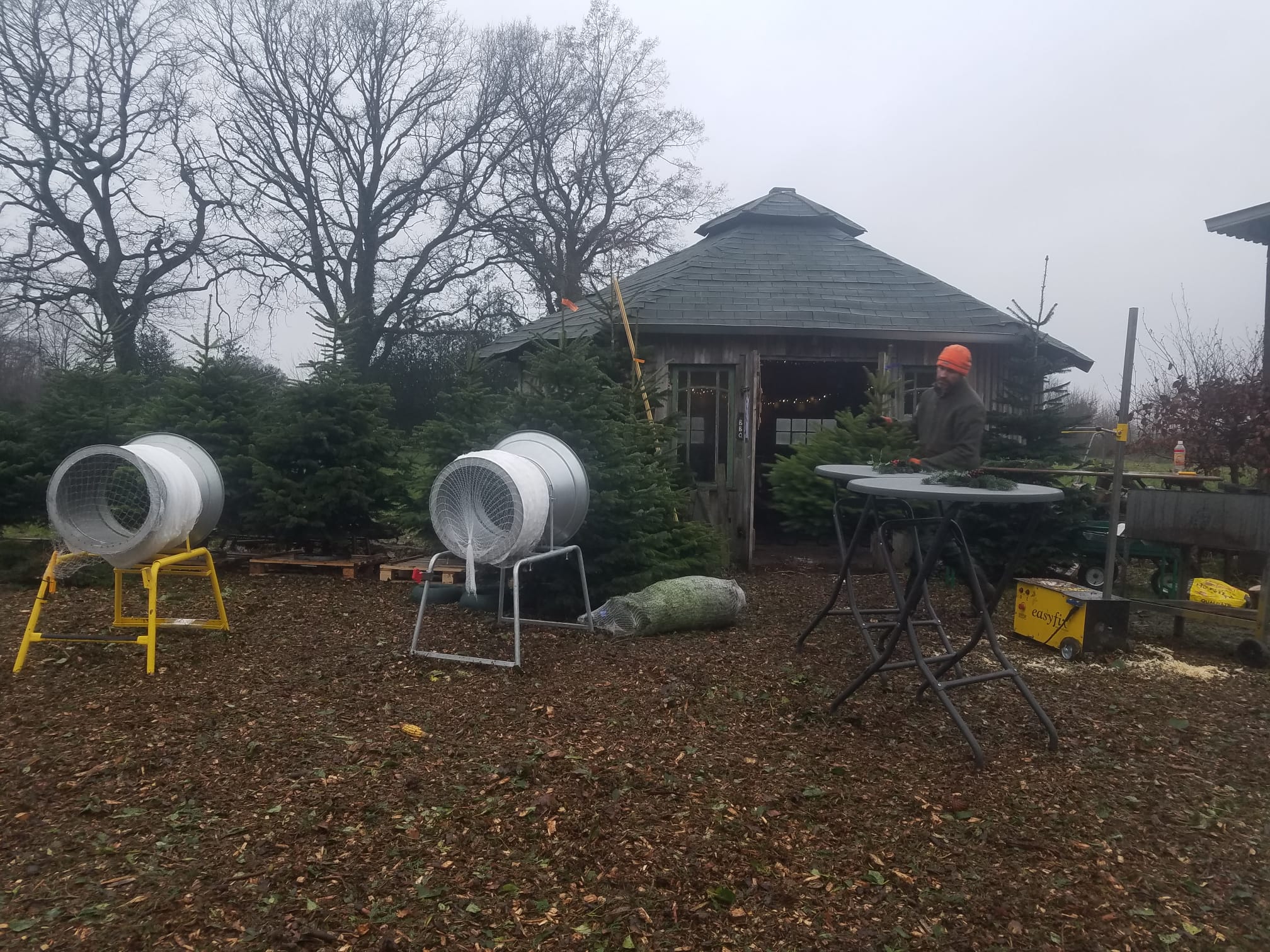 Weihnachtsbaumverkauf Landwirtschaftsbetrieb Jasper Müller